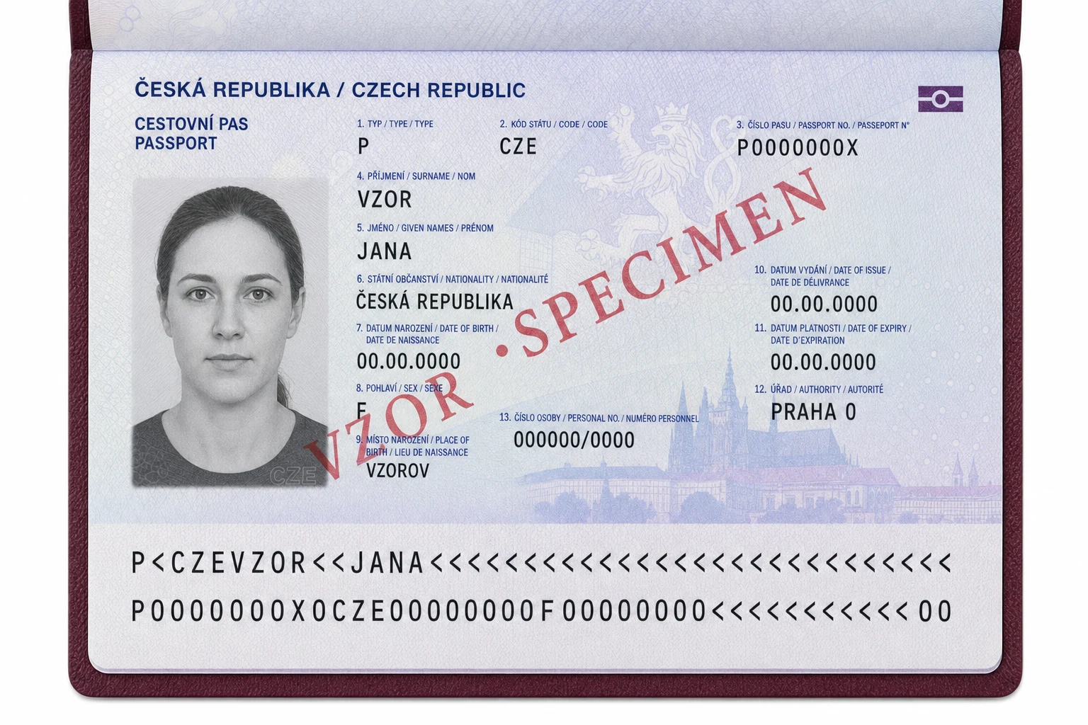 Fiktivní vzor českého biometrického pasu